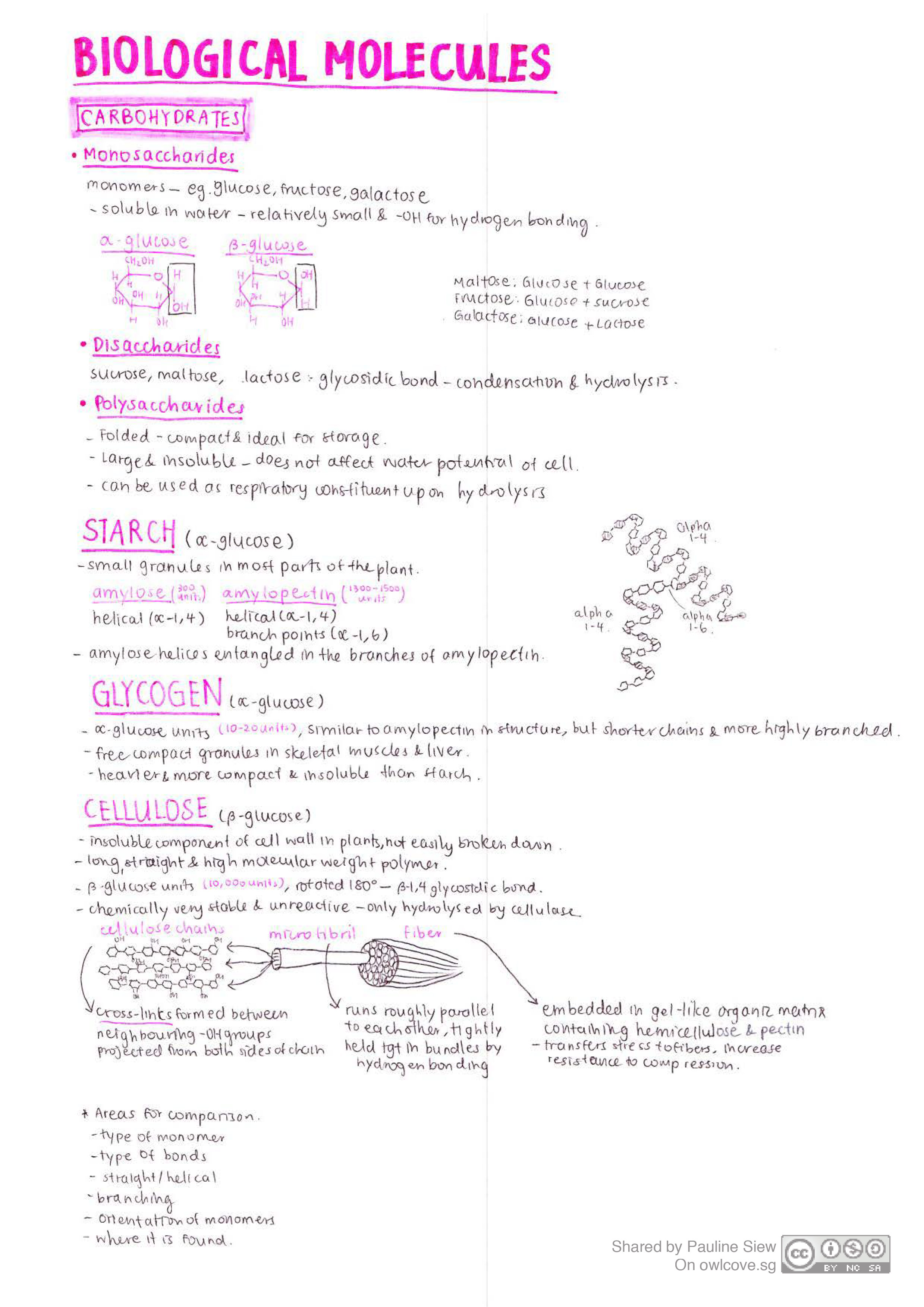 Can hand written detection plagiarism gcse